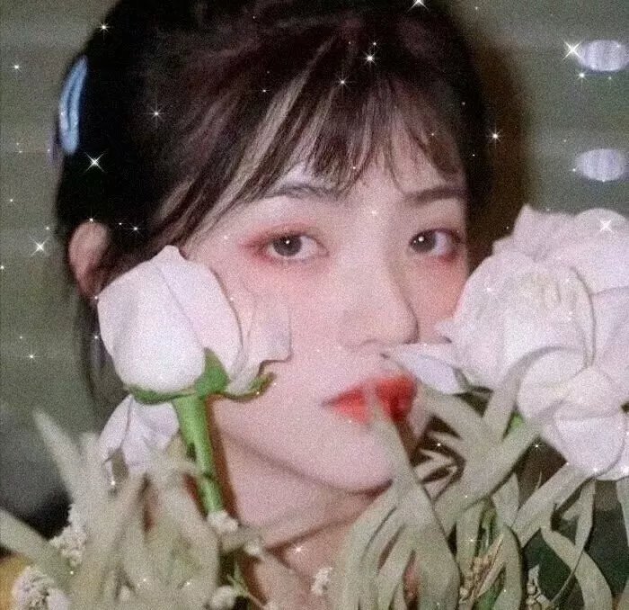 刑事侦缉档案4